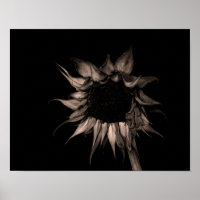 Tournesol - Sepia Fine Art Photographie Cool uniqu