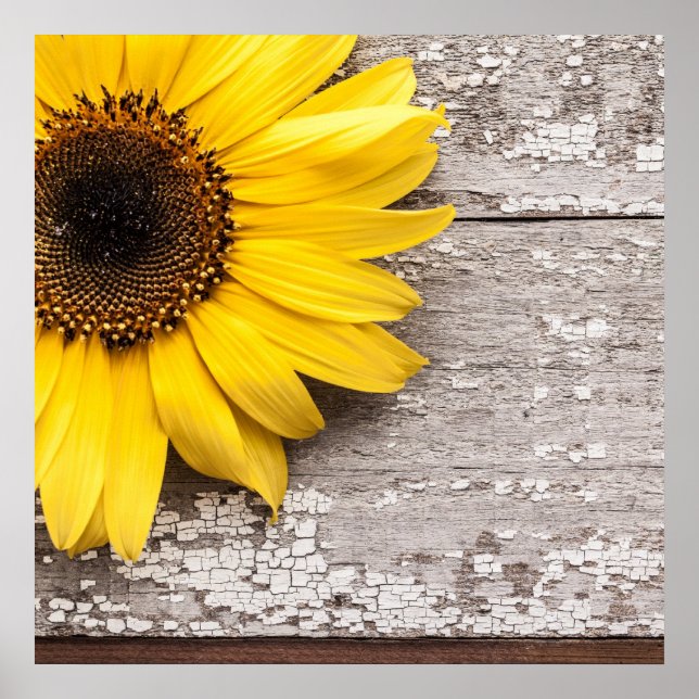Poster Tournesol sur une table en bois (Devant)