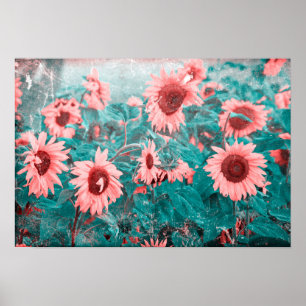 Poster Tournesol Turquoise rose Floral Vintage Grunge Tex