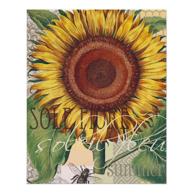 Poster Tournesol Vintage Damas Fleur Art (Devant)