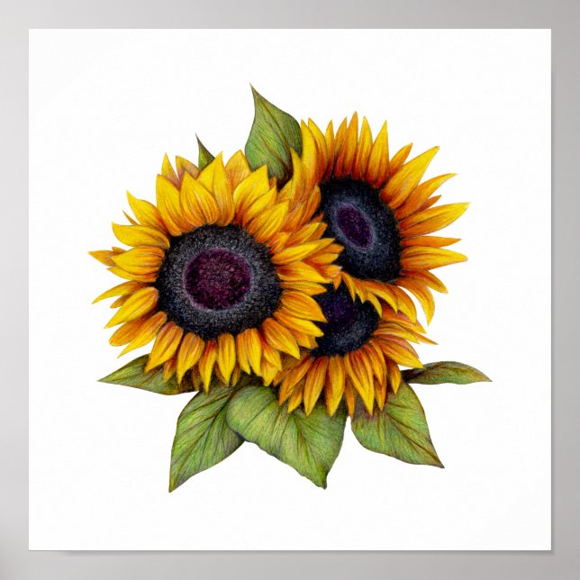 Poster Tournesols (Devant)