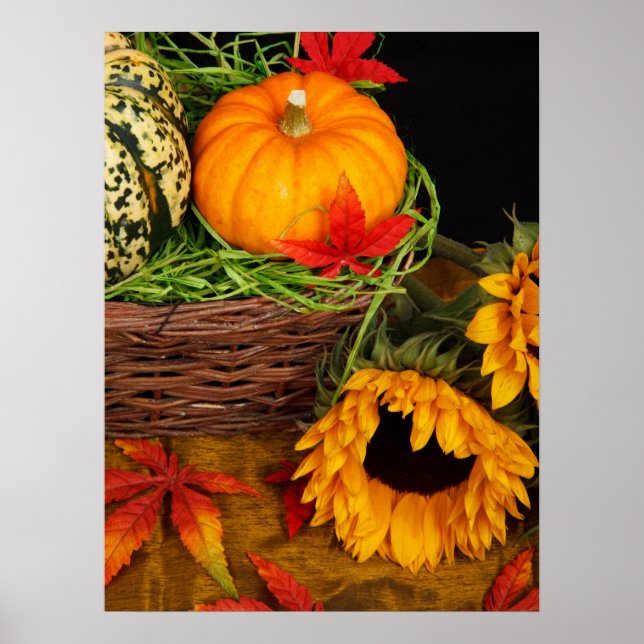 Poster Tournesols de récolte d'automne (Devant)