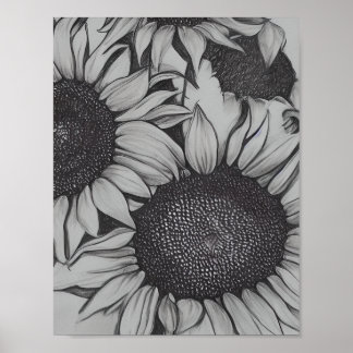 Poster Tournesols dessinés au crayon