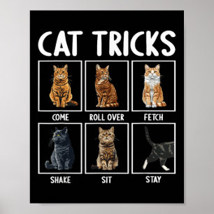 Poster Tours de chat drôles de chats 