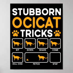 Poster Tours pendables propriétaire de chat ocicat perfor