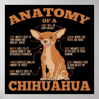 Poster Tout ce dont vous avez besoin | Chihuahua Dog | Ch