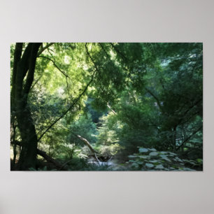 Poster Tout est calme dans Shadow Den, Muir Woods