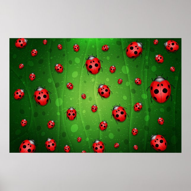 Poster Tout est plein de coccinelles (Devant)