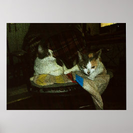 Poster Tout m'appartient