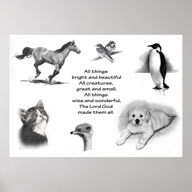 POSTER TOUTES LES CRÉATURES GRAND & PETIT : DESSIN PENCIL (Devant)