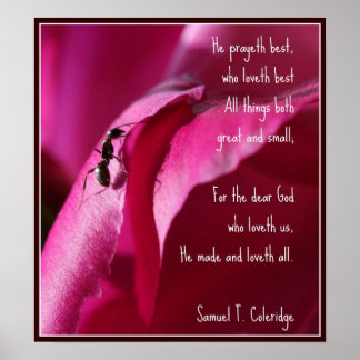 Poster Toutes les créatures grandes et petites