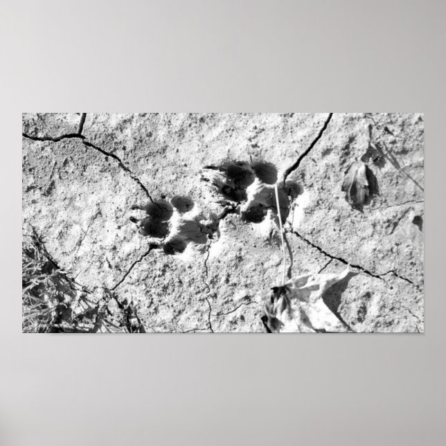 Poster Traces (Devant)