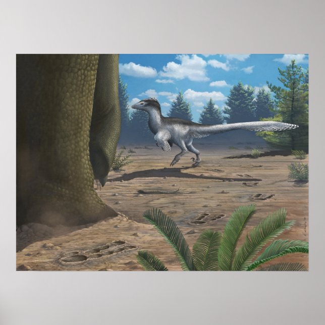 Poster Traces de Raptor Imprimer (Devant)
