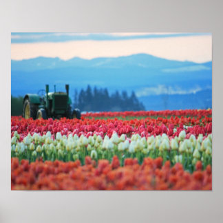 Poster Tracteur à ressort