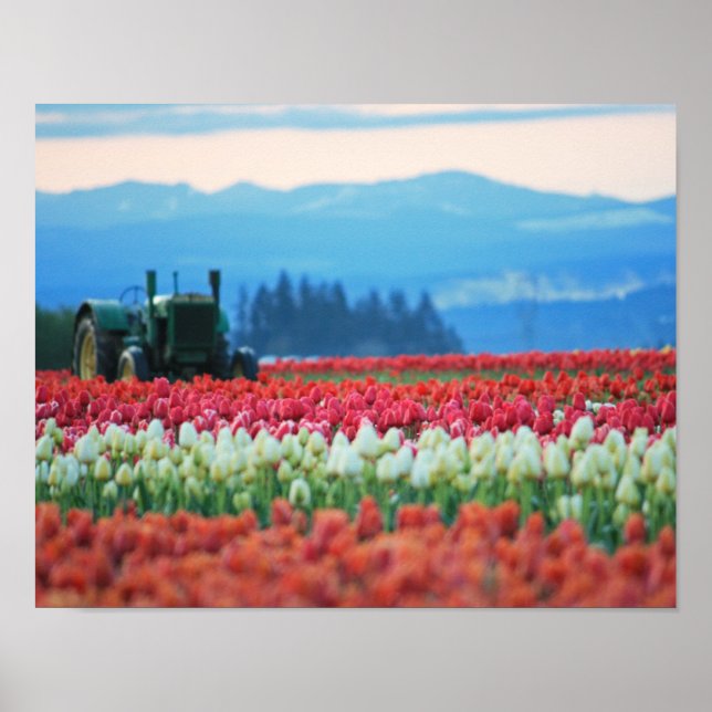 Poster Tracteur à ressort (Devant)