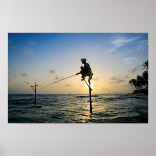 Poster Tradition intemporelle : Pêcheur Sri Lanka Stilt