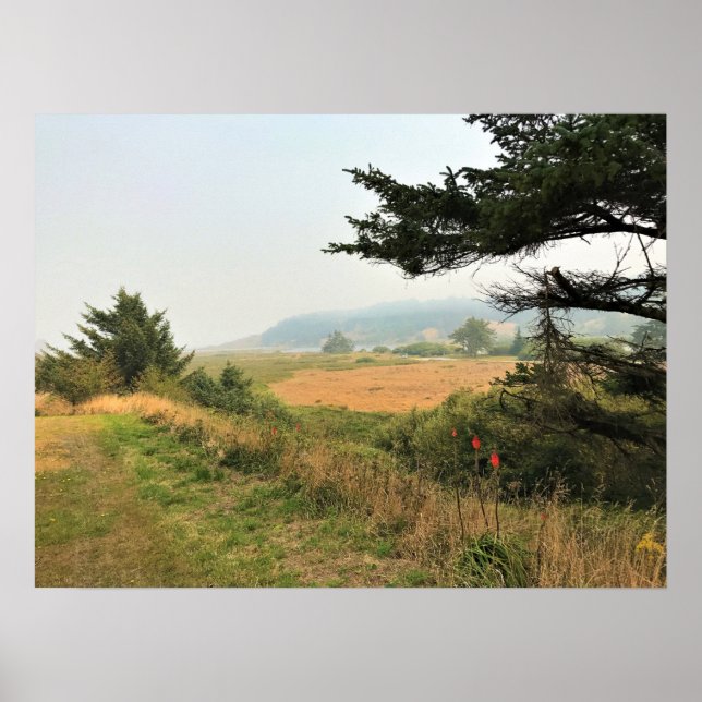 Poster Trail at Cape Blanco (Devant)