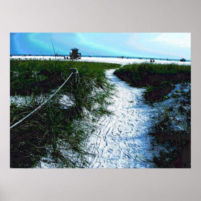 Poster Trail vers la superbe plage de Siesta Keys (Devant)