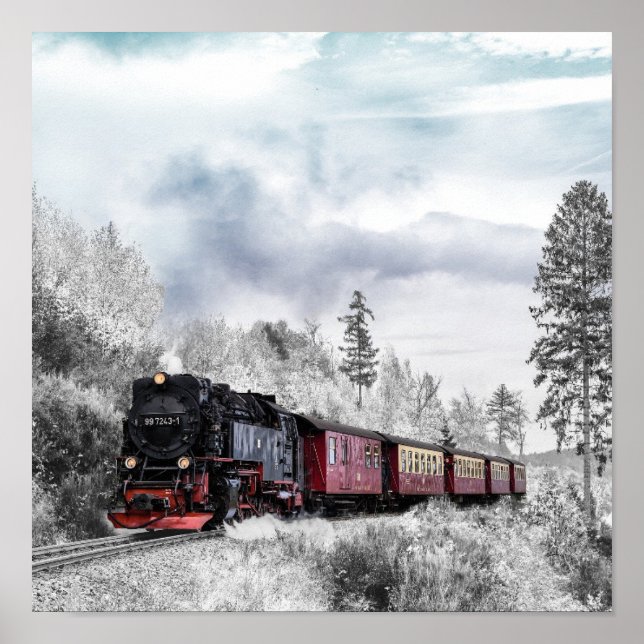 Poster Train (Devant)