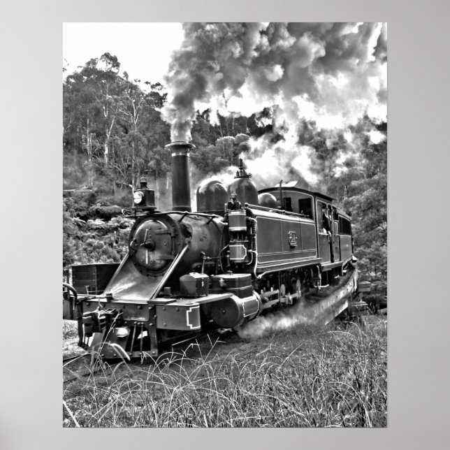 Poster Train à vapeur à gaz étroit Noir et blanc (Devant)