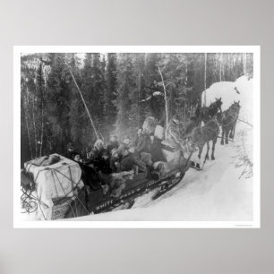 Poster Train blanc 1903 de traîneau de l'Alaska de