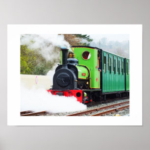 Poster Train Dolbadarn