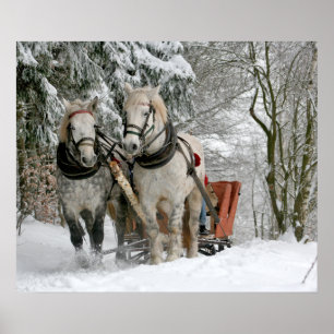 Poster traîneau+ride, neige, forêt, cheval, hiver, blanc,