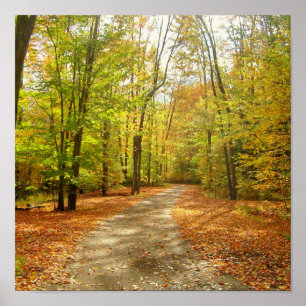 Poster Traînée d'automne