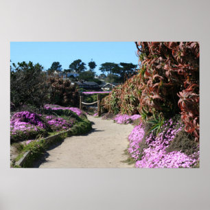 Poster Traînée de plage de Monterey, photo de ressort