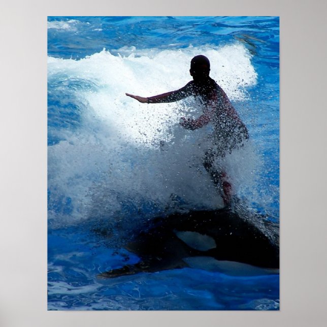 Poster Trainer sur orque orque orque orque (Devant)