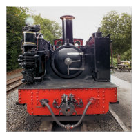 TRAINS À VAPEUR