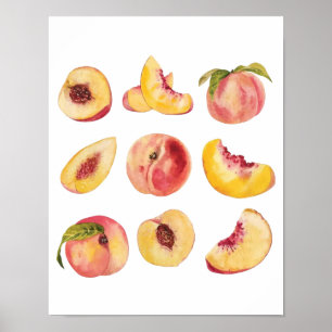 Poster Tranches de pêche fraîches et colorées à l'aquarel