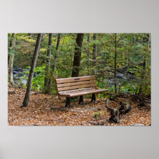 Poster Tranquil Forest Bench in Autumn