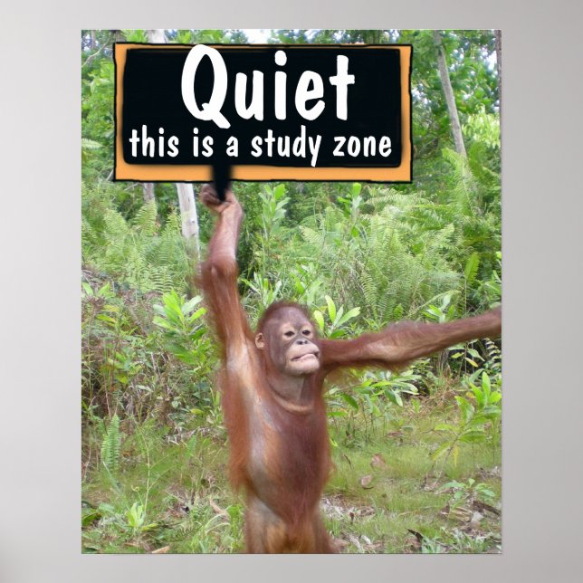 Poster Tranquille S'Il Vous Plaît Salle De Classe (Devant)