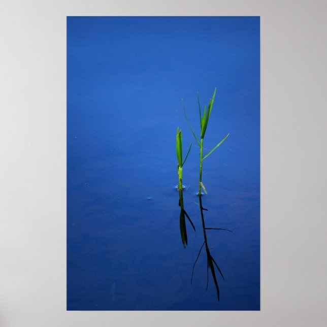 Poster Tranquillité (Devant)