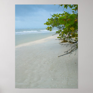 Poster Tranquillité Sur L'Île De Sanibel