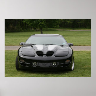 Poster Trans Am