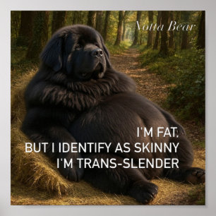 Poster Trans-mince