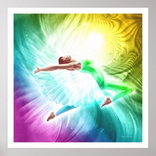 Poster Transformation : Vol (Devant)