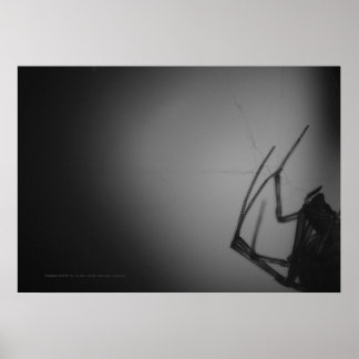 POSTER TRANSLUCENTE 8