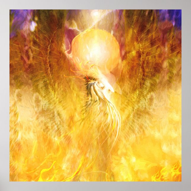Poster TRANSMUTATION D'Oiseaux De Feu Phoenix (Devant)