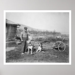 Poster Transport de chiens de l'Alaska 1916