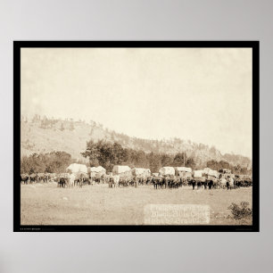 Poster Transport des équipes d'ox à Valley Black Hills SD