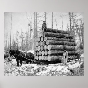 Poster Transport d'un chargement de rondins, 1908. Photo 