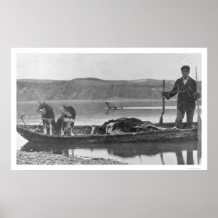 Poster Trapper avec des hanches et des chiens Alaska 1906
