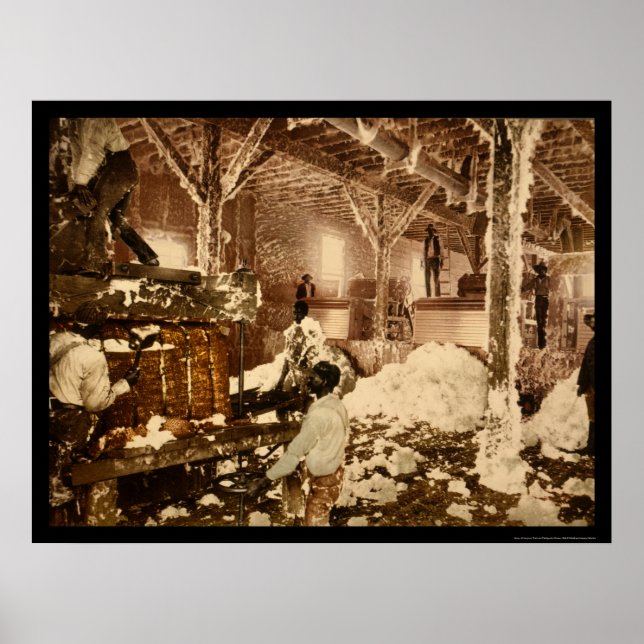 Poster Travailleurs à l'intérieur de l'éperon de coton au (Devant)