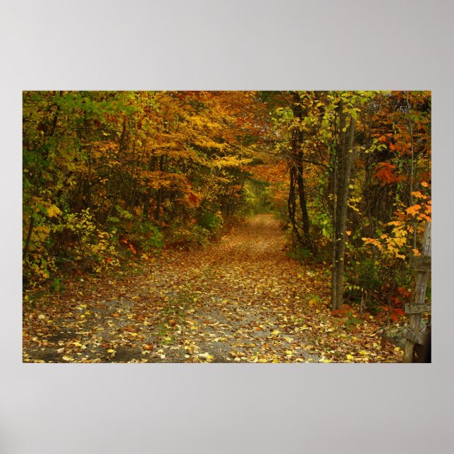 Poster Traveled The Road Less (Devant)