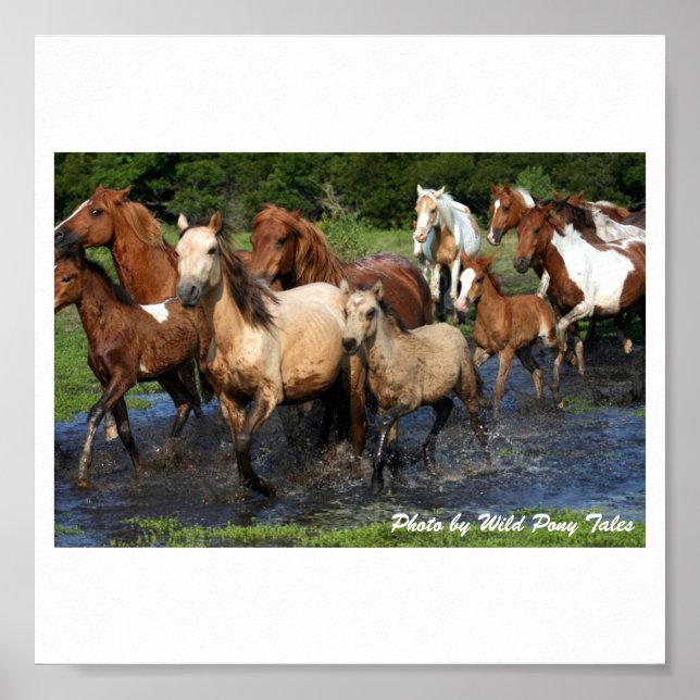 Poster Traversée (Devant)