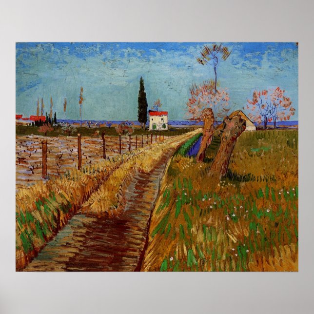 Poster Traversée d'un champ, Willows par Vincent van Gogh (Devant)