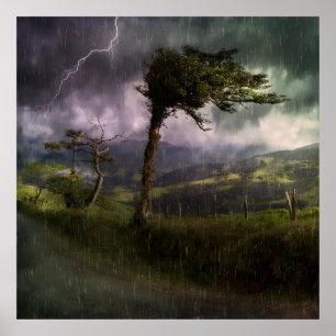 Poster Tree Blowing in the Wind During a Thunder Storm